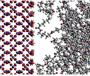 Fig.4 Analysis of interface by all-atom molecular dynamics (peeling off of silica surface and polyamide)