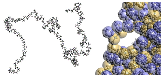Figure 2. Left: Molecular structure of Polyisoprene by FAMD, Right: CGMD image