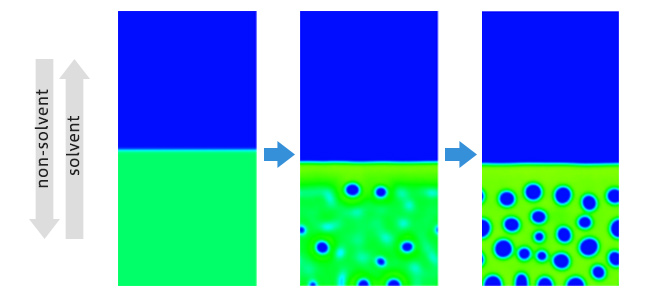 Fig.1. Time evolution of phase separation in the polymer film considering NIPS process. 
Green and blue region represents polymer and non-solvent component respectively.