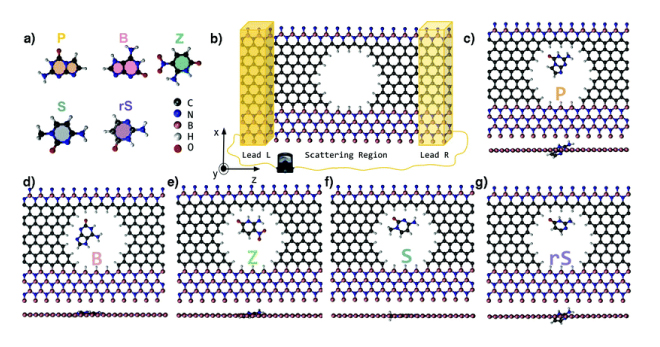 Figure 8. An example of a DNA sequencer analysis model using the NEGF method (Reference [12])Nucleic acid bases used in analysis (a) and placement in nanopores (b to g)