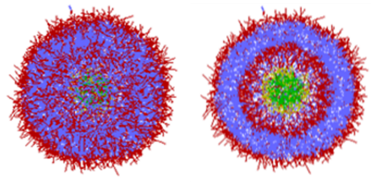 Figure 1. Lipid Nanoparticle (LNP) calculated with DPD
 (Right : cross section)