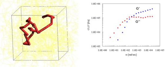 Figure 5. Evaluation of viscoelasticity by PCN (left: snapshot, right: master curve)