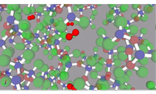 MSD of carbon dioxide