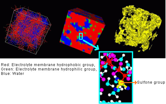 Figure 1. Water Cluster Structure Within Polymer Electrolyte Membrane