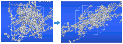 Fig. 1. Simulation system with the Lees-Edwards boundary condition.