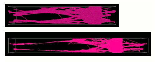 Fig.1 Snapshots of craze growth for polymer chains with N=128.