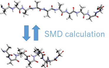 Fig. 1 Model used in the calculation (decamer of alanine). The N-terminus is fixed and the C-terminus is moved.