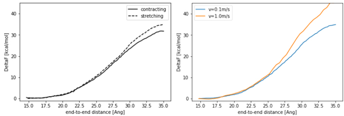 Figure 2 (Left) Free energy change of the elongated-helix state of a polypeptide. (Right) Free energy change for different virtual particle velocities.