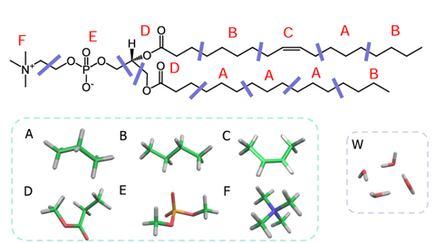 Figure 1. Suspension calculations using VSOP-PS(left: micro model, right: meso model)