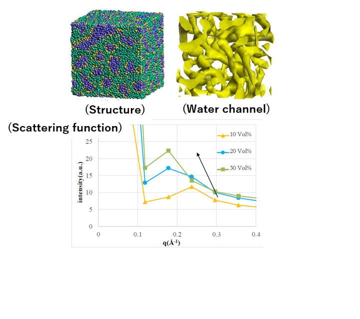 Figure 2. Phase separation structure and scattering function