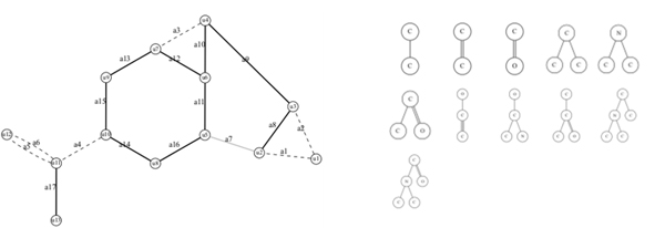 Figure 2. Seed structure (left) and Tree structure (right)