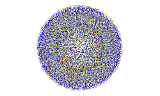 Figure2. An LNP model composed of DPPC/DOPC/CHOL.