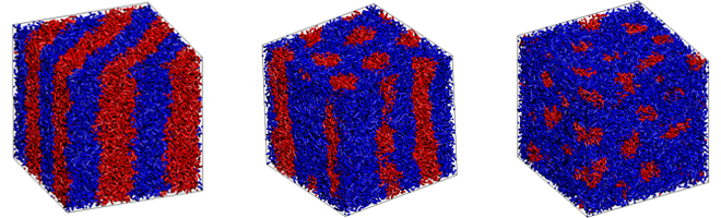 Fig. 2 Phase-separated structure results obtained by DPD.
