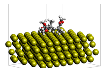 Fig.1　 Adsorption state of Au(111)-PMMA