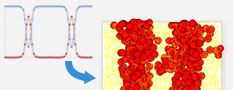 Multi-scale coupling function