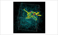 Entanglement polymer model