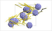 Process Simulation (particulate dispersion 
systems, droplets, coatings)