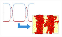 All-atom model (1)