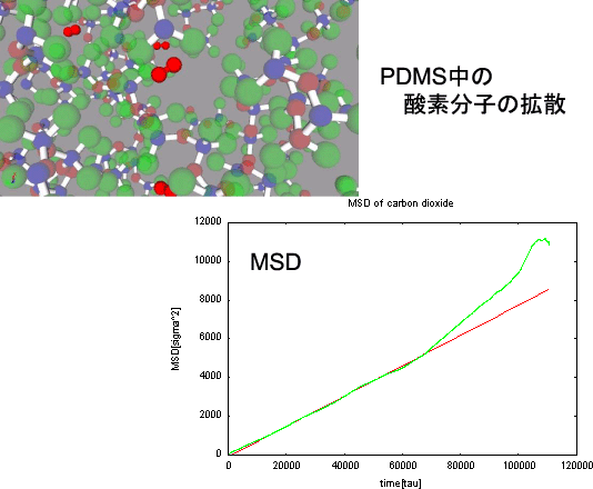 PDMS̎_f̊gUW