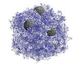intro image