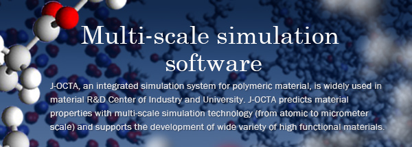 Multi-scale simulation software